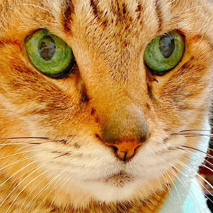 C30df579 6bc0 44a7 b3ad 7474a52b7eaf 1697888925507