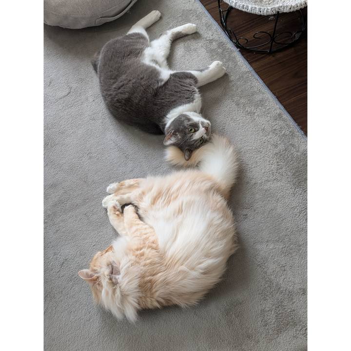 C30e03a7 7d13 485b 84e7 708a5e9c3515 1745491413503