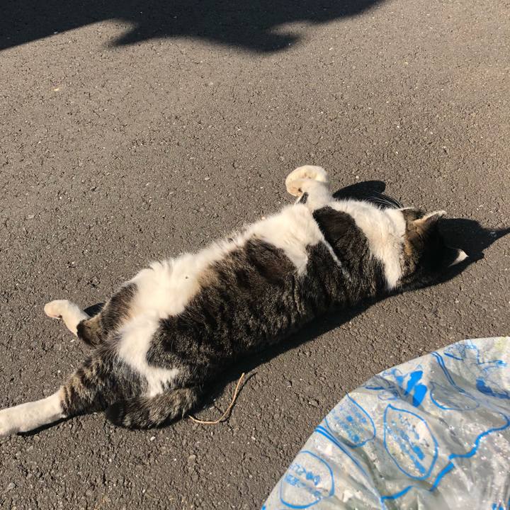 C30e28fd bd44 438f 8278 eddeb513cac2 1513914644132