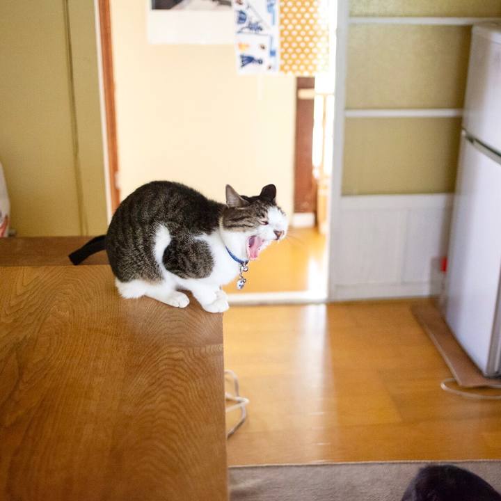 C30e37a9 a509 4b42 b087 03ab591ffeab 1604038041654