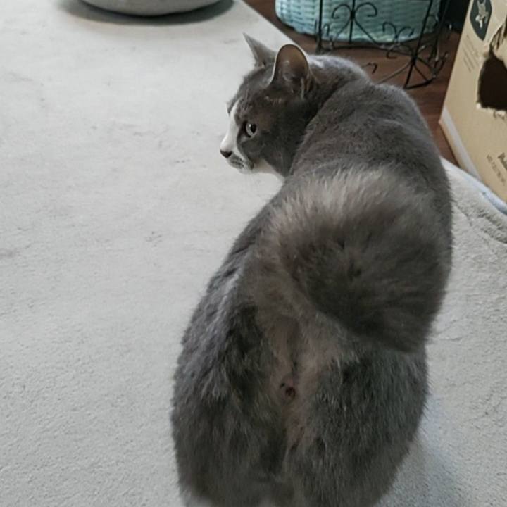 C30e5094 f0ee 4d29 8330 0f2ddc5c67cc 1717118010026