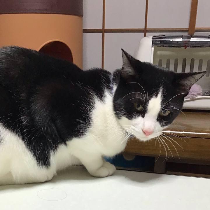 C30e608d 413f 4b93 bced 3b50ef7b049e 1640382969419