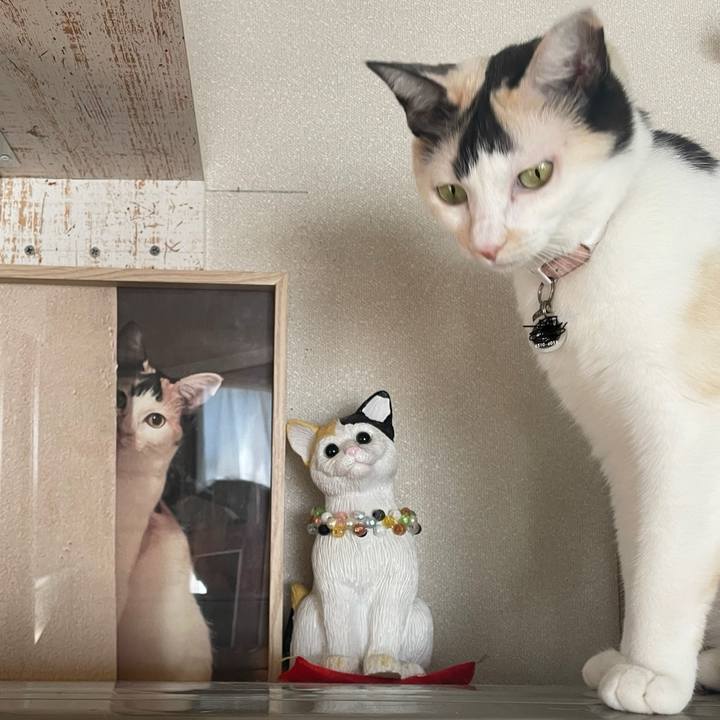 C30e7d79 508c 457f 8ff7 776cd8a0963b 1758074518924