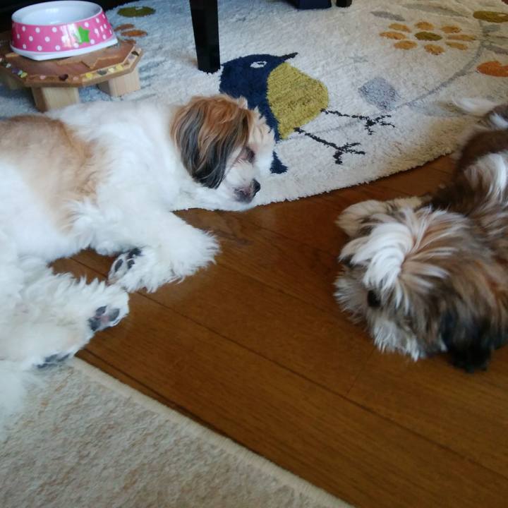 C30e9f8b 448f 4f18 87b0 e1016c72e23a 1535334846847