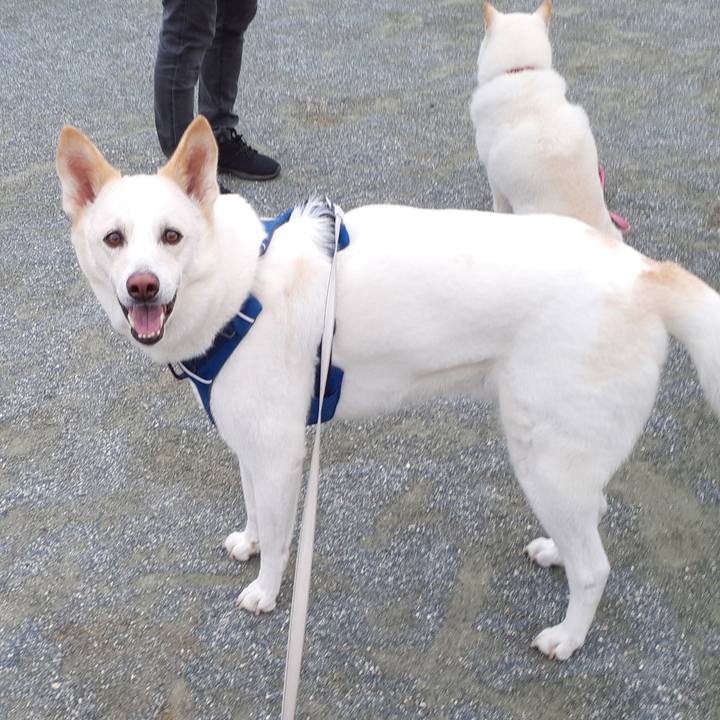 C30eb577 985d 4078 b05b 61b654fafd2f 1683942619827