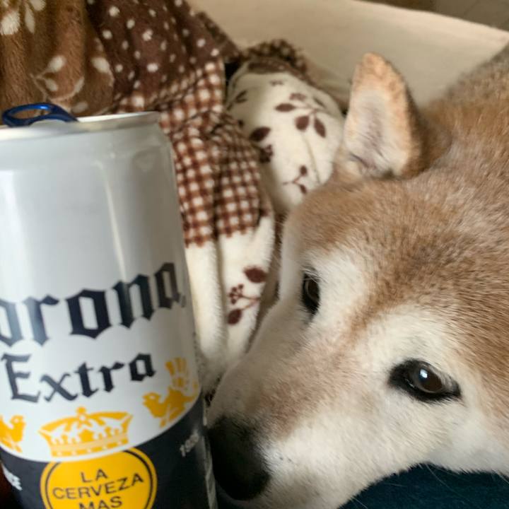 C30ec195 4462 46f0 ac9e c4062c8e6f20 1585371013858