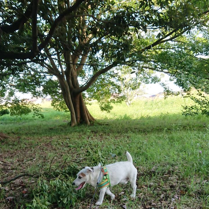 C30f05f9 b4a4 4dd3 8fc9 2bf6aa51823c 1533080273618