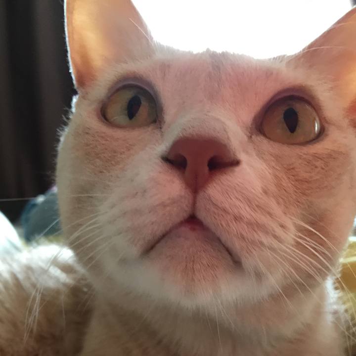 C30f2810 d302 44fe 9042 9adee00857f2 1569895733650