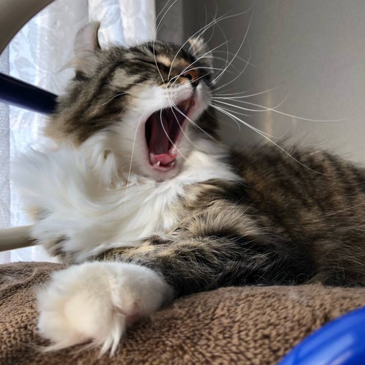 C30f38c8 455f 4910 a39a 6be31ddd8108 1546914935857