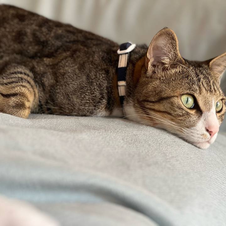 C30f3e6b 8860 438d 9321 db70d7a5b60d 1728451644896