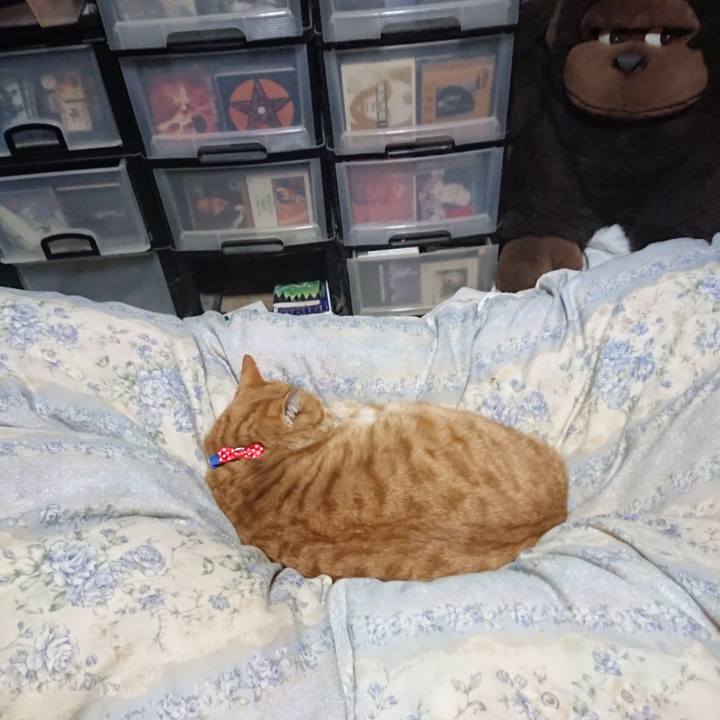 C30f5383 63f5 44c8 854e d7cf415f6f8b 1576497393988