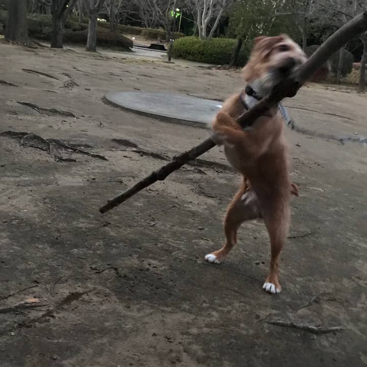 C30f710e deb6 40fa ac66 946664a70b3f 1577947660729