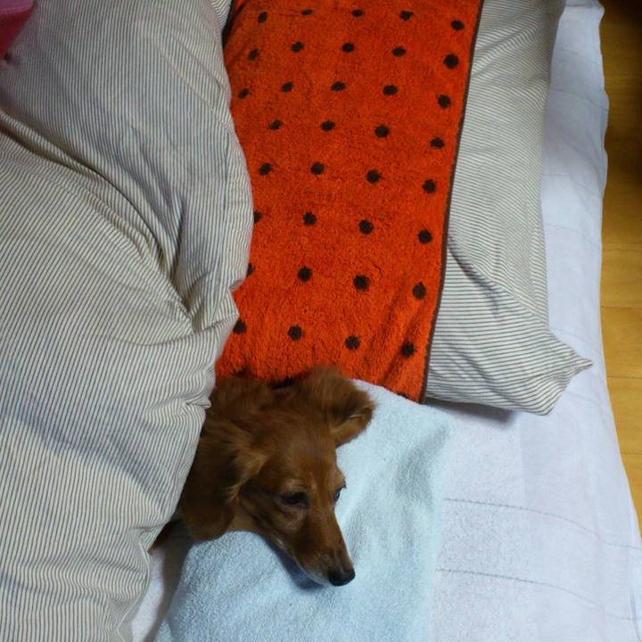 C30f75f7 2374 4507 8719 70c8adca656f 1554657615773