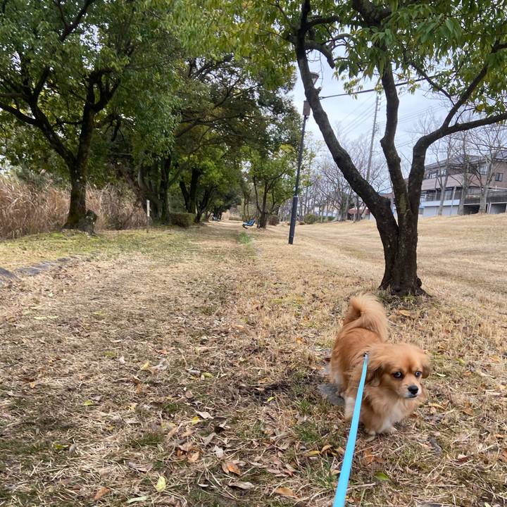 C30fbfce 69a1 44b3 8f12 736efdbae414 1582331455653