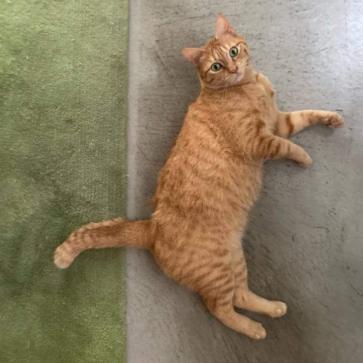 C3103209 a661 498a b323 995073a81f5a 1724286430441