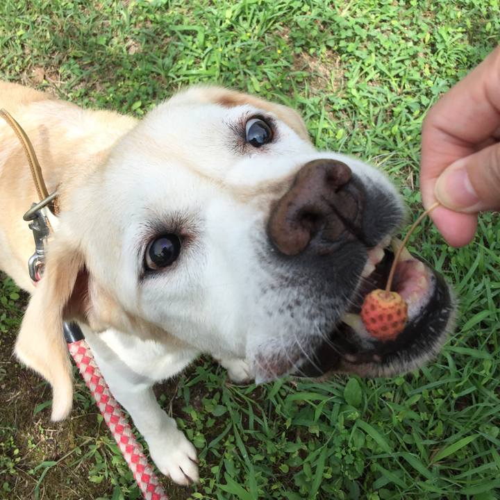 C3103e24 b801 4847 b056 21e4f0f86f3c 1535859692971