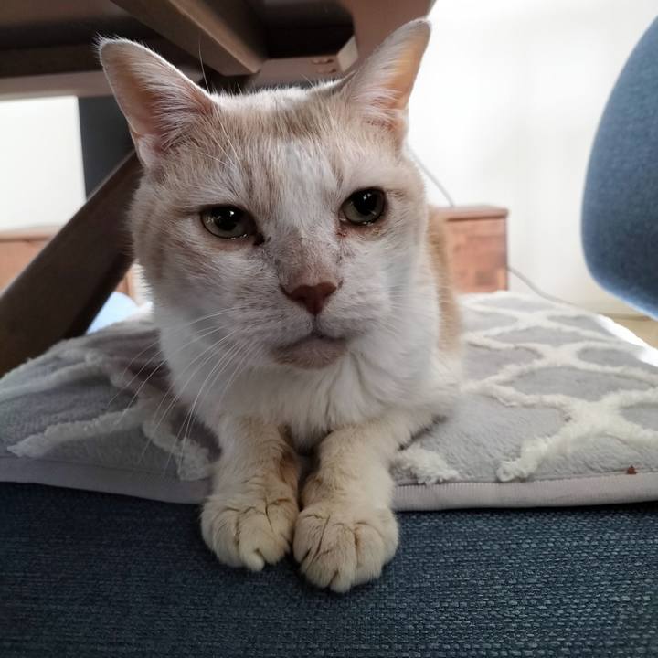 C31047ea 09d4 421f ac18 f346fd19008e 1704241100011