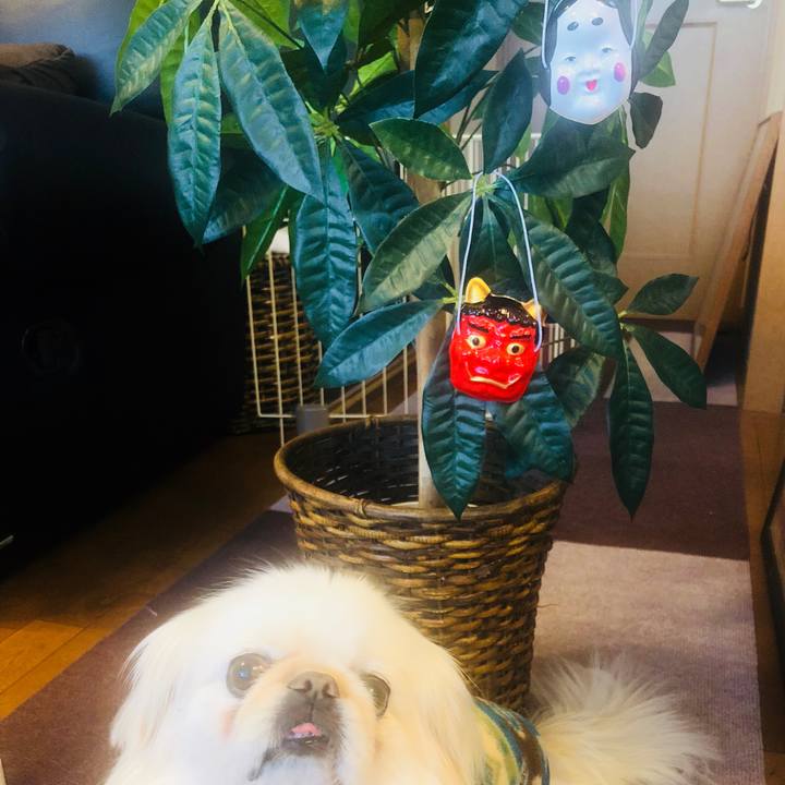 C31077d4 d31f 4f06 8fb2 b0a283fb5f56 1612262957819