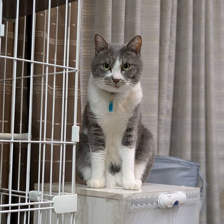 C31081b3 7e58 4d76 81b5 dc6a57648996 1743160891674