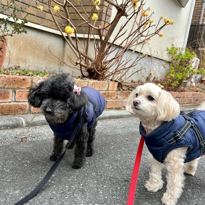 C3108fe7 10b6 447a a2d8 ffd923f84c43 1772187126487