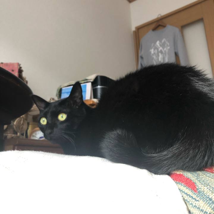 C310abc0 1b9b 4a7a af12 f80506d4c956 1544936105424