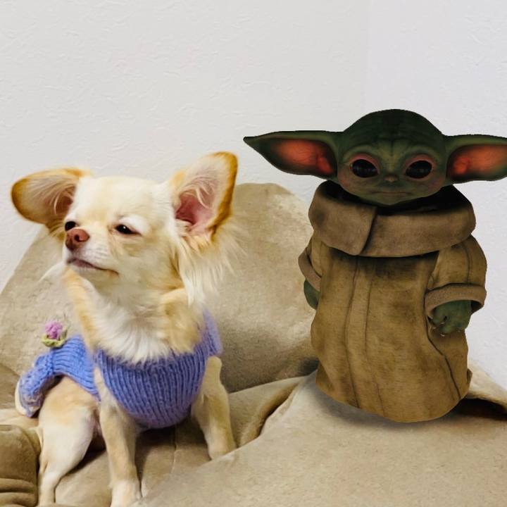 C310b61e 913d 4155 9220 db74d130fc9f 1611401307987