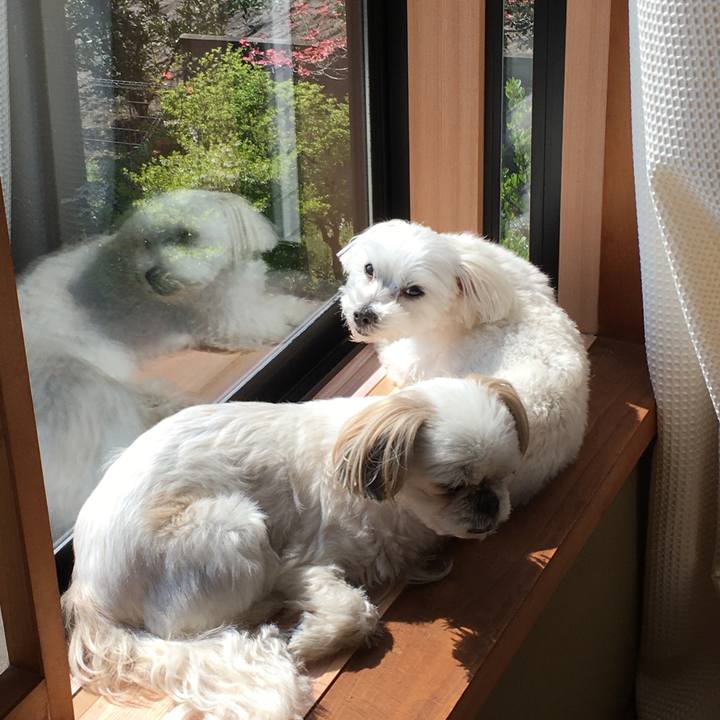 C310c251 cfac 46bc a9c8 097985c02307 1587793437646