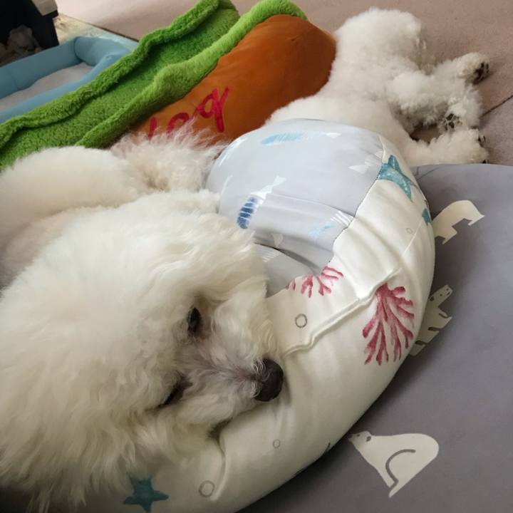 C310e6a0 39f0 4ebe a721 87b45bb03961 1564563629379