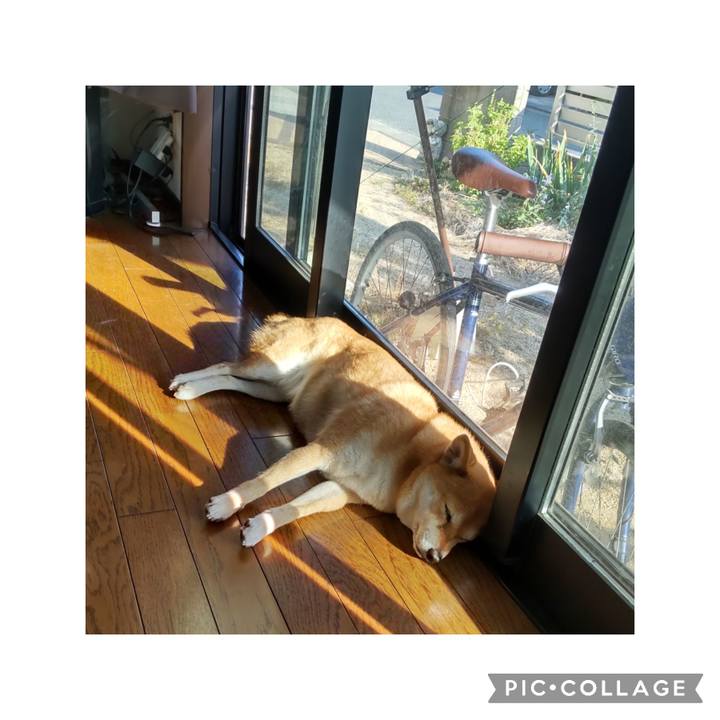 C310f5d5 feac 44f5 b135 d5db94c991b2 1697604204109