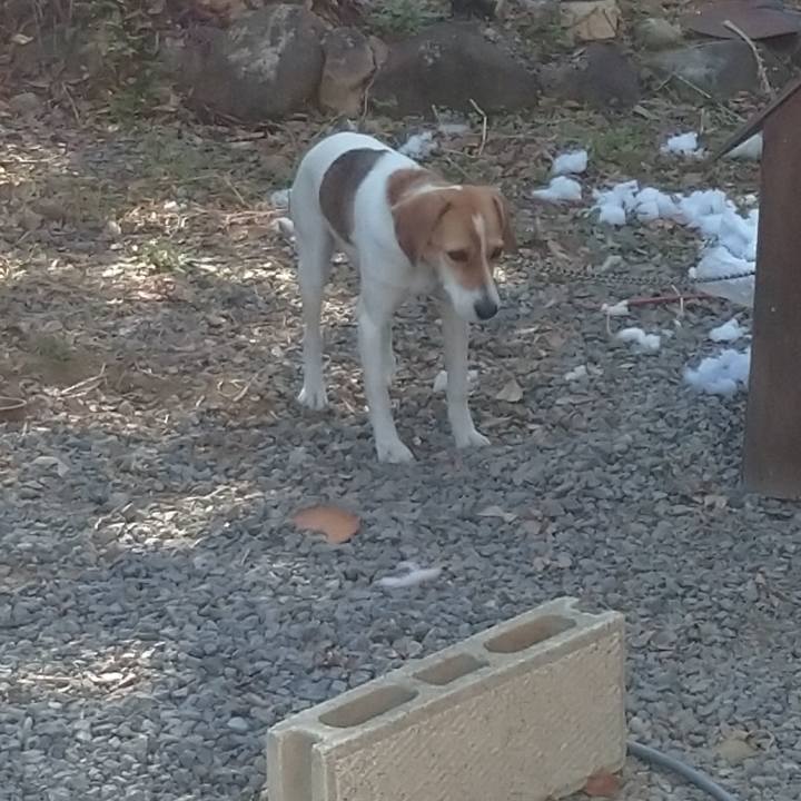 C310f833 37a7 408b b269 3d6ea6502dd3 1576212156073