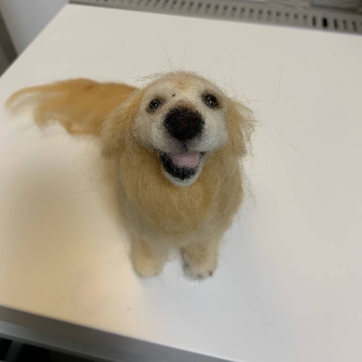 C3114c8b 4f3b 41f0 ab54 ddb71a535ea3 1559048119366