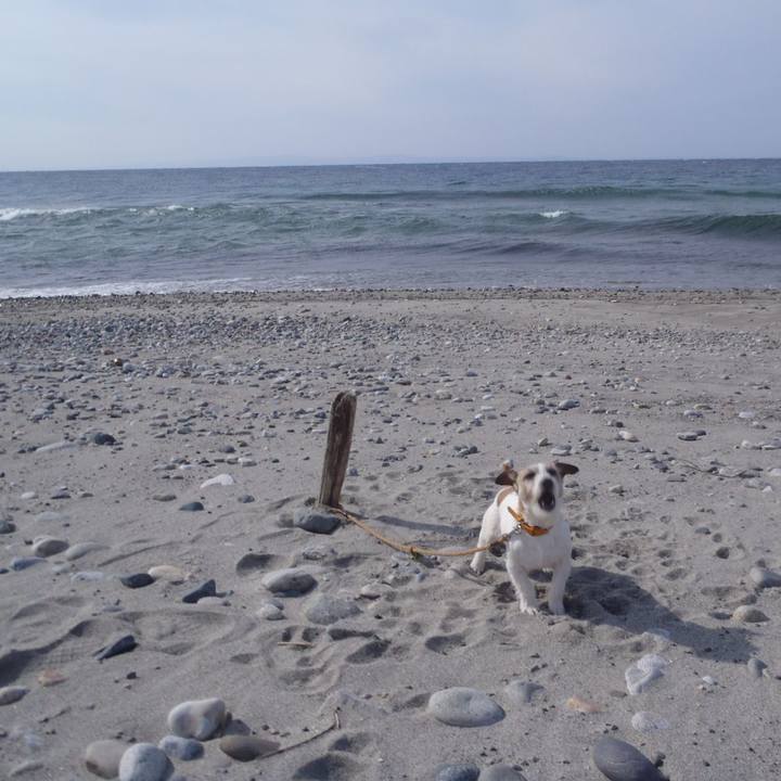 C31153a7 371d 4203 9bd9 c8e3fd374081 1520412377972