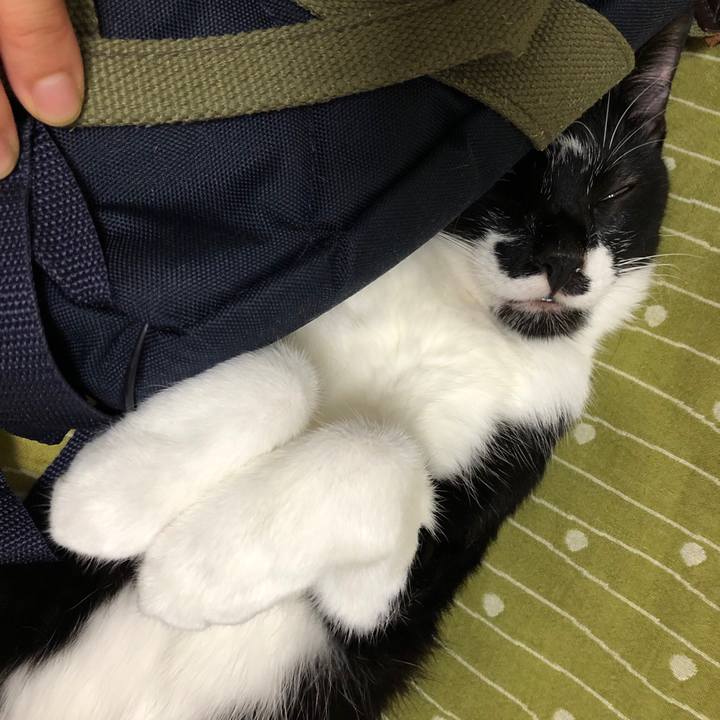 C3118839 54d8 46d0 b8cc 4e84613809f8 1536265815803