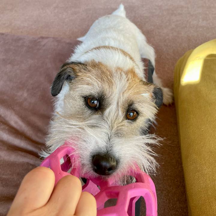 C31192b6 41f0 41c1 b117 c788d8a4e615 1674882570526