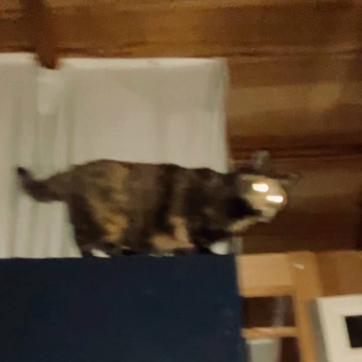 C311967e bed6 4070 aaa2 28e5cae3da03 1737233491100