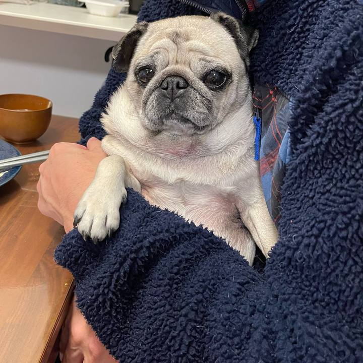 C311e311 3b41 4bd0 99a6 35cd6c879f94 1766633402039