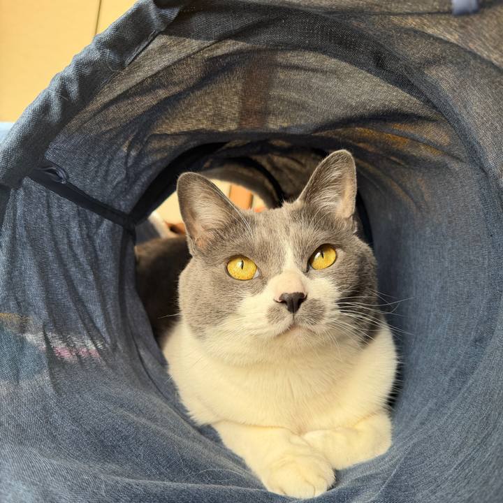 C311f772 feae 4588 932c a97c8c22680a 1767918945027