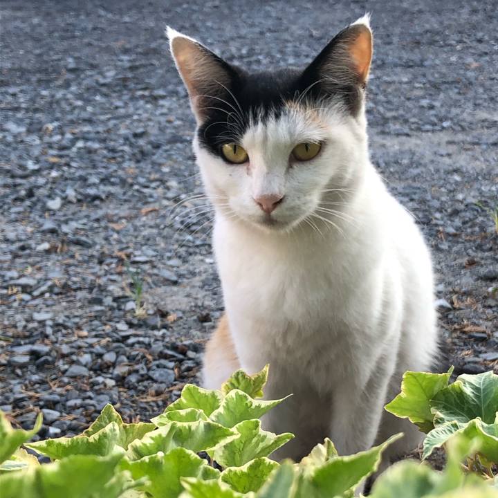 C31234e4 9a01 49b7 a208 7b15526a072f 1598652618747