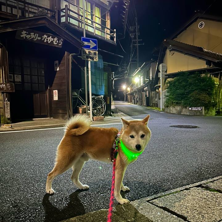 C31239a8 f39f 48a0 a4a8 6f691ec34d94 1728472487965