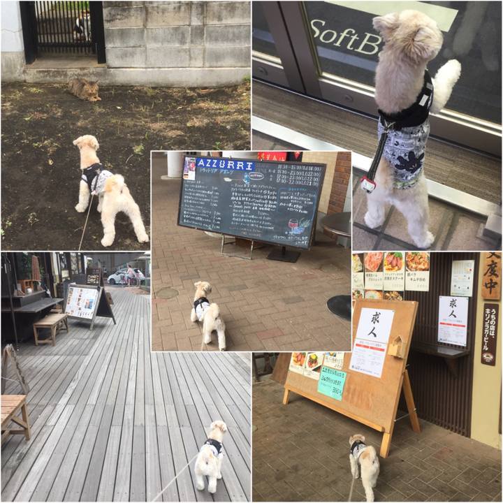 C312542e ac7e 4f48 adb9 71457c89eabe 1523778631166