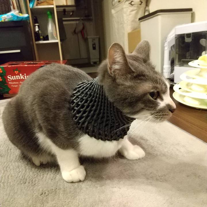 C3128603 dfc5 492f a3a6 d0af5d3c393f 1609671828364