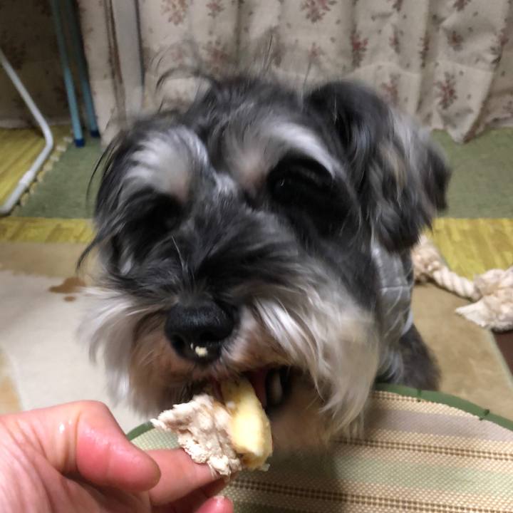 C312bcbc fdef 473e b841 838eef91e958 1545488965122