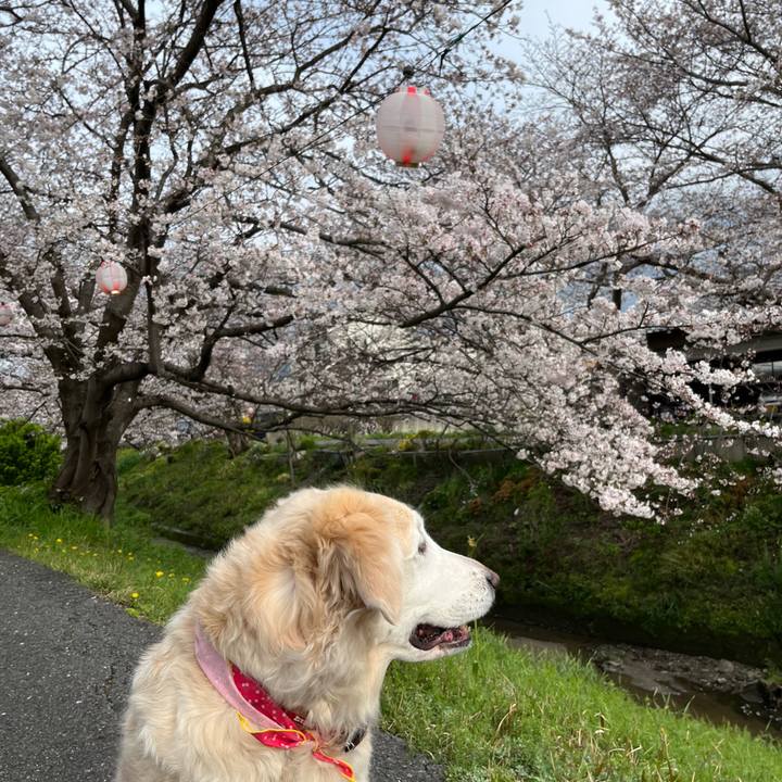 C312cb06 d377 40e7 bcb1 5229b00ff77b 1712218614825