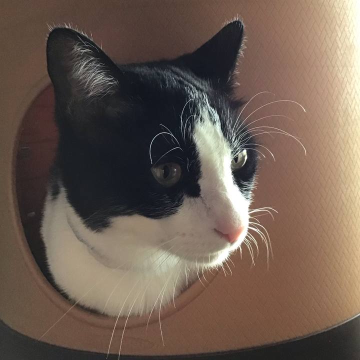 C312f463 5834 4742 b89d 2c08c5d676e0 1684389983407