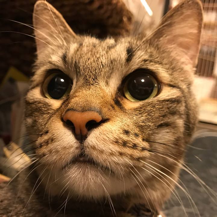 C3133f38 ca73 4259 aa54 4f8f9d9a5ce8 1528101223159