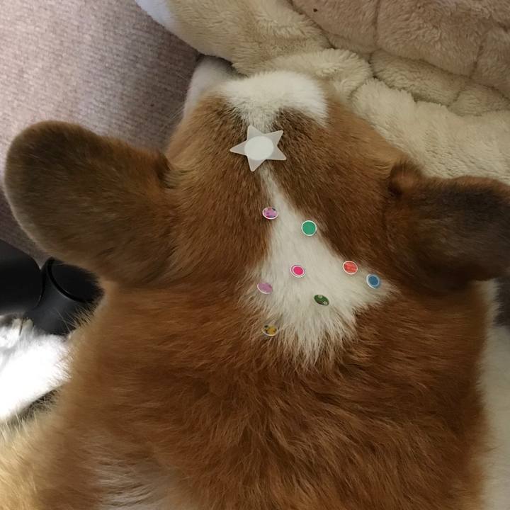 C31387de ff3b 4120 a364 48124288c3a6 1639615982752