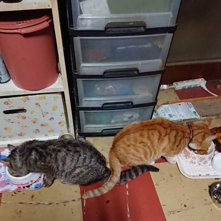 C31393d1 6581 4ad9 86f1 e3b7b19a2327 1564516244980