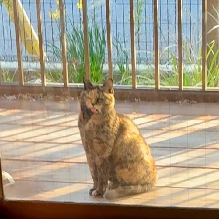 C3139c05 13db 4329 92f9 3094df9cc30d 1773313075819