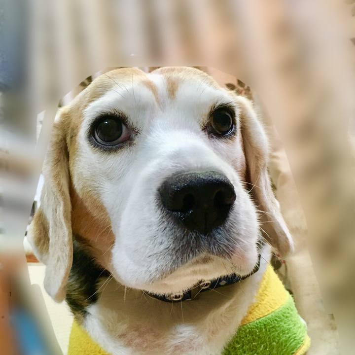 C313a147 0b25 458b acd2 e12ad7b34fc9 1552461192543