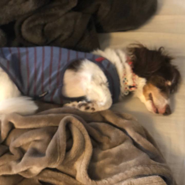 C313d291 25c7 4905 b869 7851d1923619 1573431568336